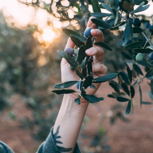 WhatsApp Image 2025-05-21 at 13.41.10